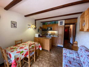 Studio équipé à Châtel, proche télésièges, parking inclus, Sud/Ouest - FR-1-693-57